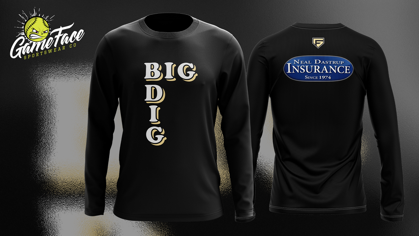 BIG DIG