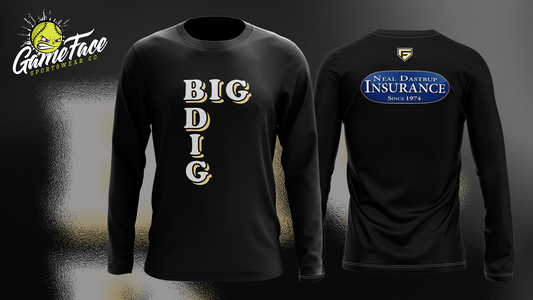 BIG DIG