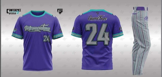 MOMENTUM PURPLE